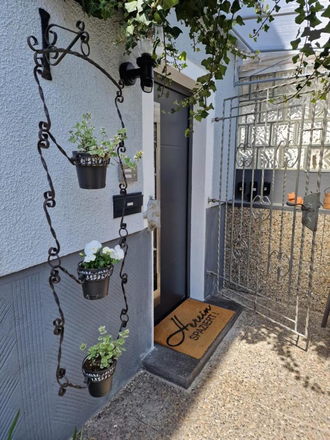 Ferienhaus Steigrhein Filsen المظهر الخارجي الصورة