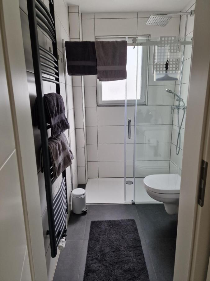 Ferienhaus Steigrhein Filsen المظهر الخارجي الصورة